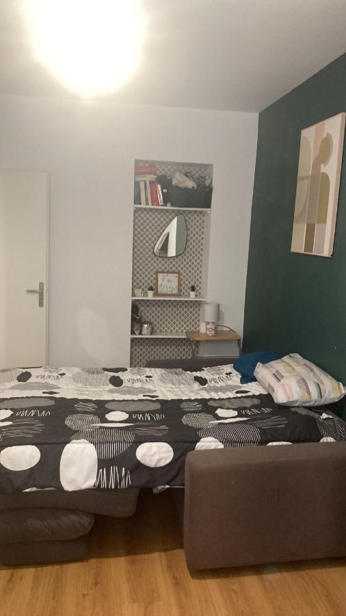 Chambre En Appartement Haussmannien En Centre Ville Сент-Этьен Экстерьер фото
